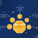Why VAPT is Required