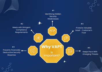 Why VAPT is Required